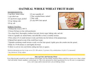 Oatmeal Whole Wheat Fruit Bars